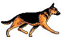 K-9 Associations